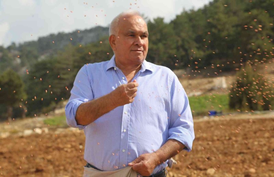 Ücretsiz Tohum Ve Ekimle Toroslar’da Boş Tarlalar Üretime Katılıyor