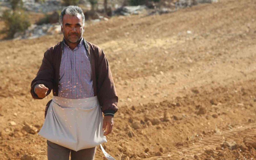 Ücretsiz Tohum Ve Ekimle Toroslar’da Boş Tarlalar Üretime Katılıyor