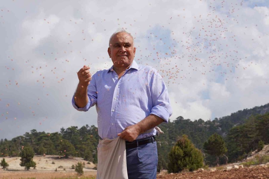 Ücretsiz Tohum Ve Ekimle Toroslar’da Boş Tarlalar Üretime Katılıyor