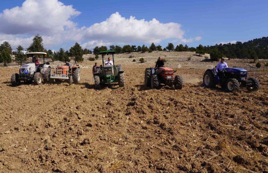 Ücretsiz Tohum Ve Ekimle Toroslar’da Boş Tarlalar Üretime Katılıyor