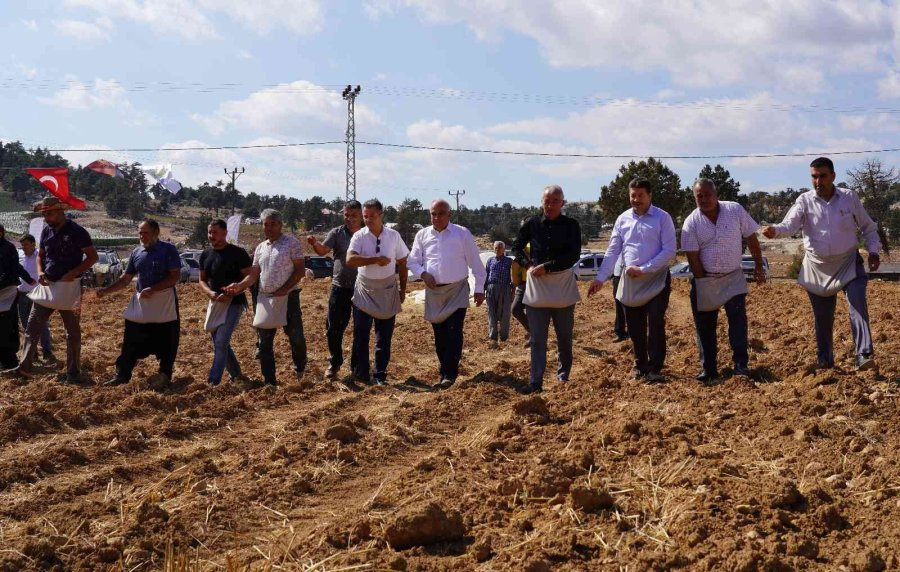 Ücretsiz Tohum Ve Ekimle Toroslar’da Boş Tarlalar Üretime Katılıyor