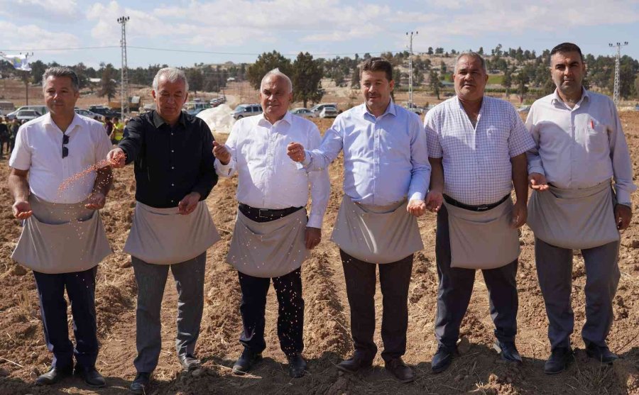 Ücretsiz Tohum Ve Ekimle Toroslar’da Boş Tarlalar Üretime Katılıyor