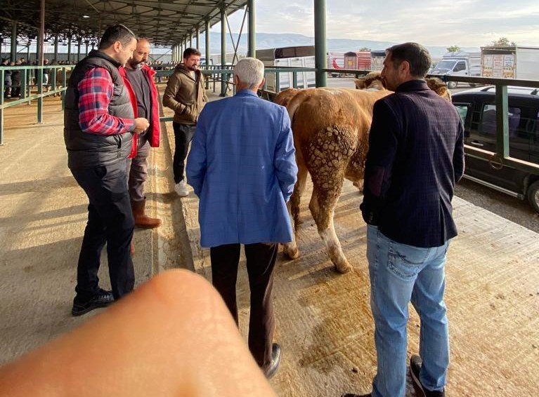 Hayvan Pazarında Uygun Fiyat Yoğunluğu