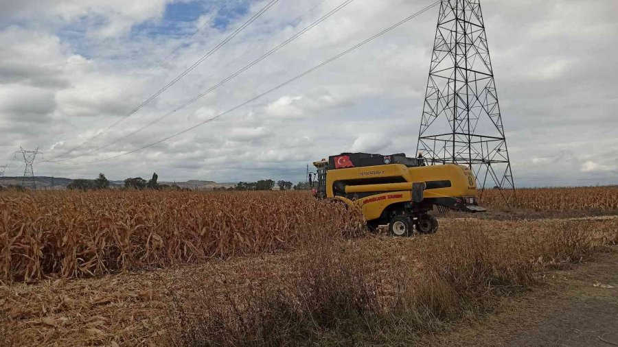 Eskişehir’de Mısır Verimi Yüz Güldürdü