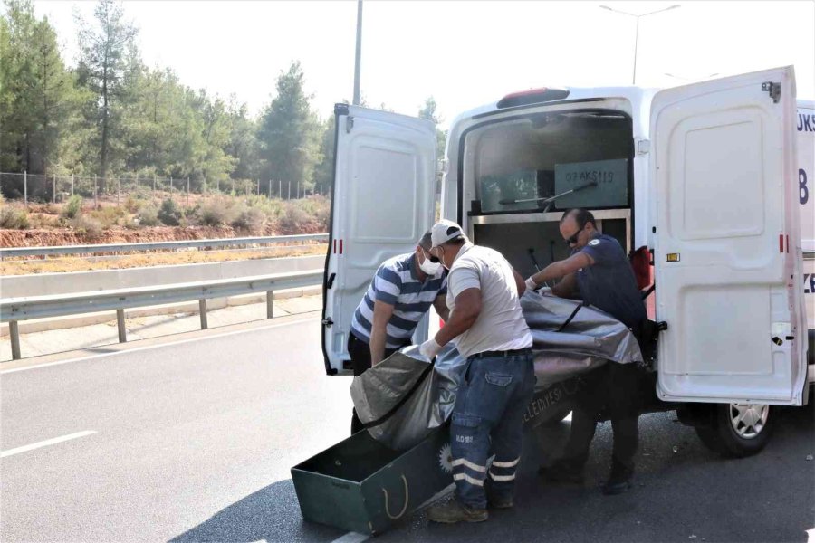 Karayolunda Temizlik Yapan Kamyona Arkadan Çarpan Genç Kadın Hayatını Kaybetti