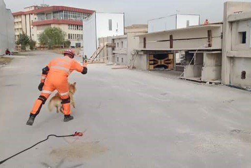 Dak, Birleşmiş Milletler Tatbikatında Tam Not Aldı