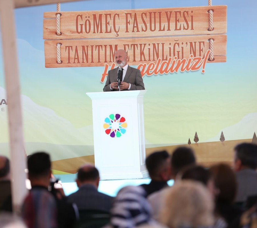 Kocasinan’da ‘geleneksel Gömeç Fasulyesi Tanıtım’ Etkinliği Çok Beğenildi