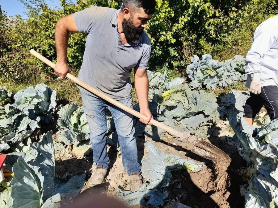 Organik Lahanaya İlgi Büyük