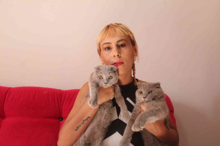 Dekolteli Kedi Hırsızlarına Verilen Ceza, Ev Sahibini Şok Etti