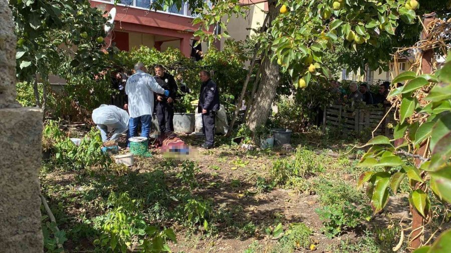 Ceviz Ağacından Düşen Şahıs Hayatını Kaybetti