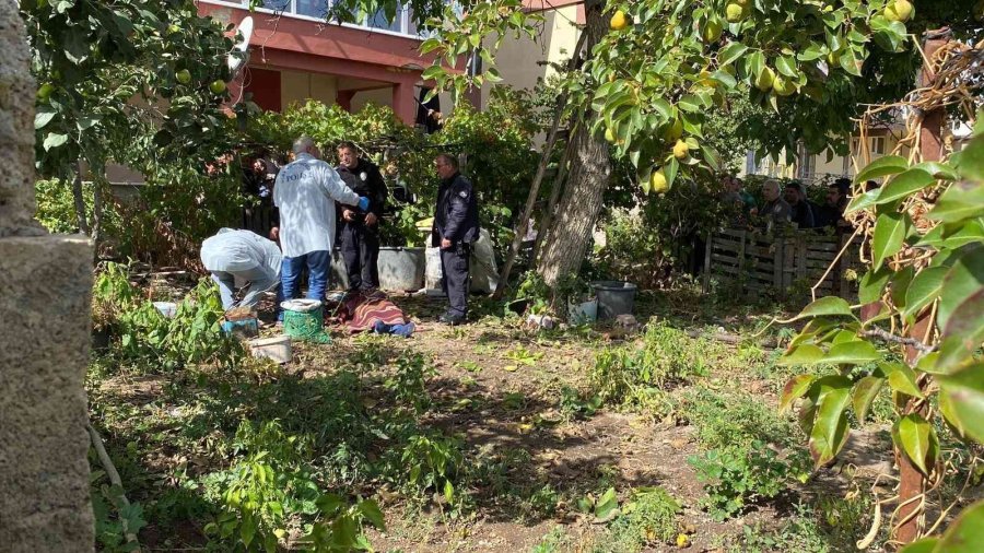 Ceviz Ağacından Düşen Şahıs Hayatını Kaybetti