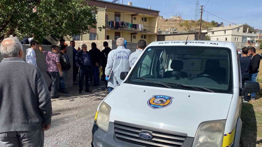 Ceviz Ağacından Düşen Şahıs Hayatını Kaybetti