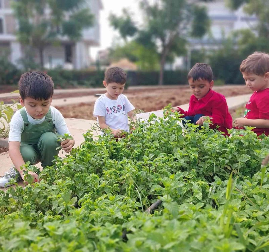 Döşemealtı Ekolojik Kreş Öğrencileri Doğayı Öğreniyor
