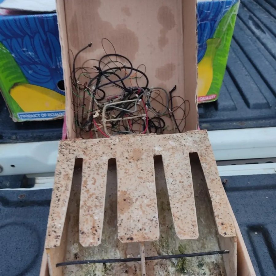 Konya’da Canlı Mühre İle Şahin Avına 45 Bin Lira Ceza