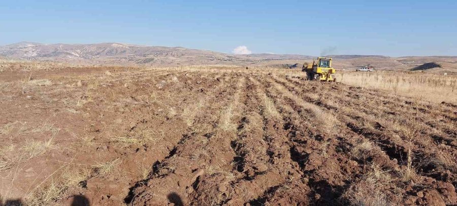 Vali Çiçek, Kuşçu Marina’da Devam Eden Ağaçlandırma Ve Fidan Dikimi Proje Çalışmalarını İnceledi