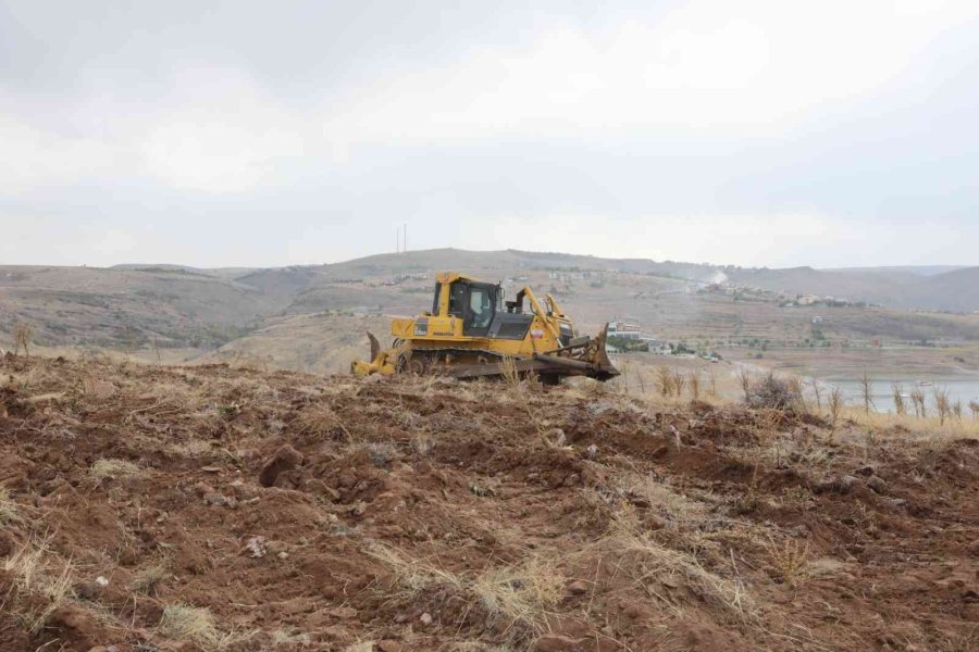 Vali Çiçek, Kuşçu Marina’da Devam Eden Ağaçlandırma Ve Fidan Dikimi Proje Çalışmalarını İnceledi
