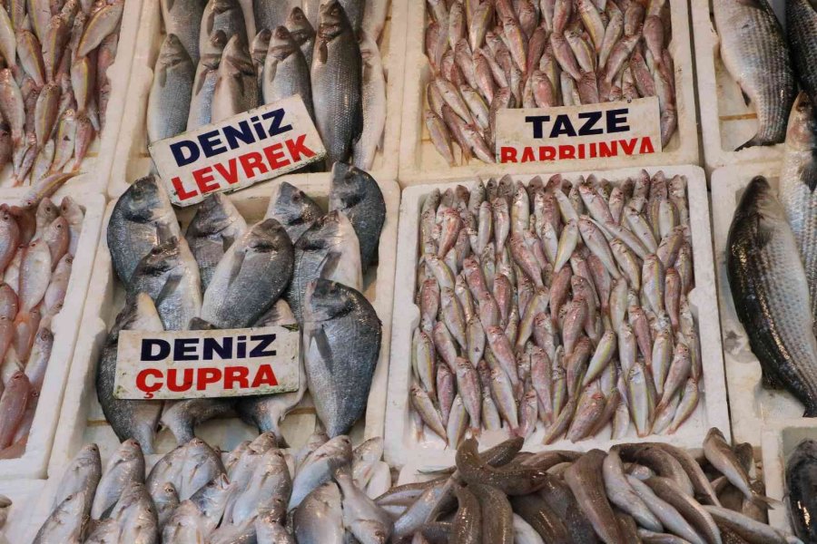 Tezgahlar Balıkla Doldu Taştı, Fiyatlar Yarı Yarıya Düştü