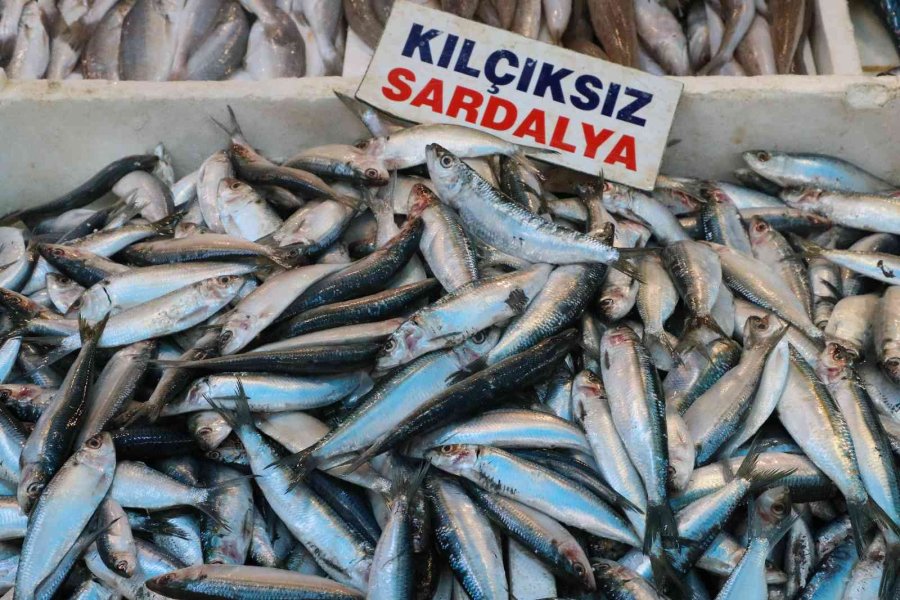 Tezgahlar Balıkla Doldu Taştı, Fiyatlar Yarı Yarıya Düştü