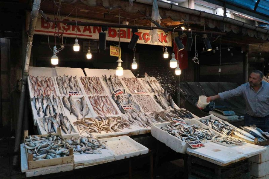 Tezgahlar Balıkla Doldu Taştı, Fiyatlar Yarı Yarıya Düştü