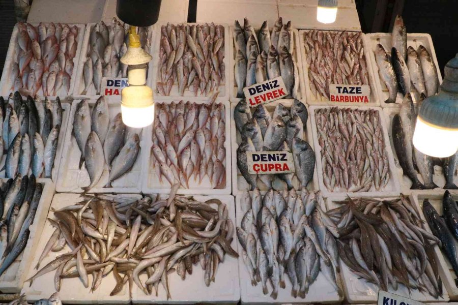 Tezgahlar Balıkla Doldu Taştı, Fiyatlar Yarı Yarıya Düştü