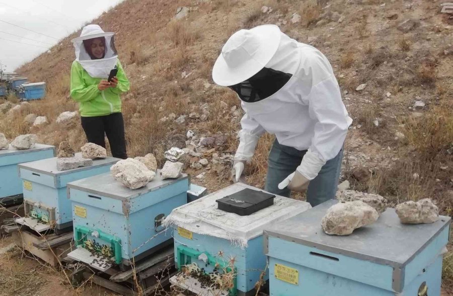 Eskişehir’de Kovanlar 20’şer Kilo Bal Verdi