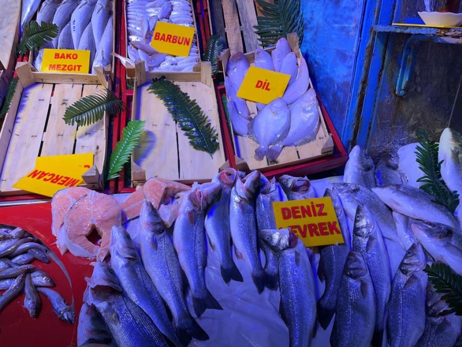 Tezgâhlarda Balık Çeşitliliği Ve Bolluğu Artıyor