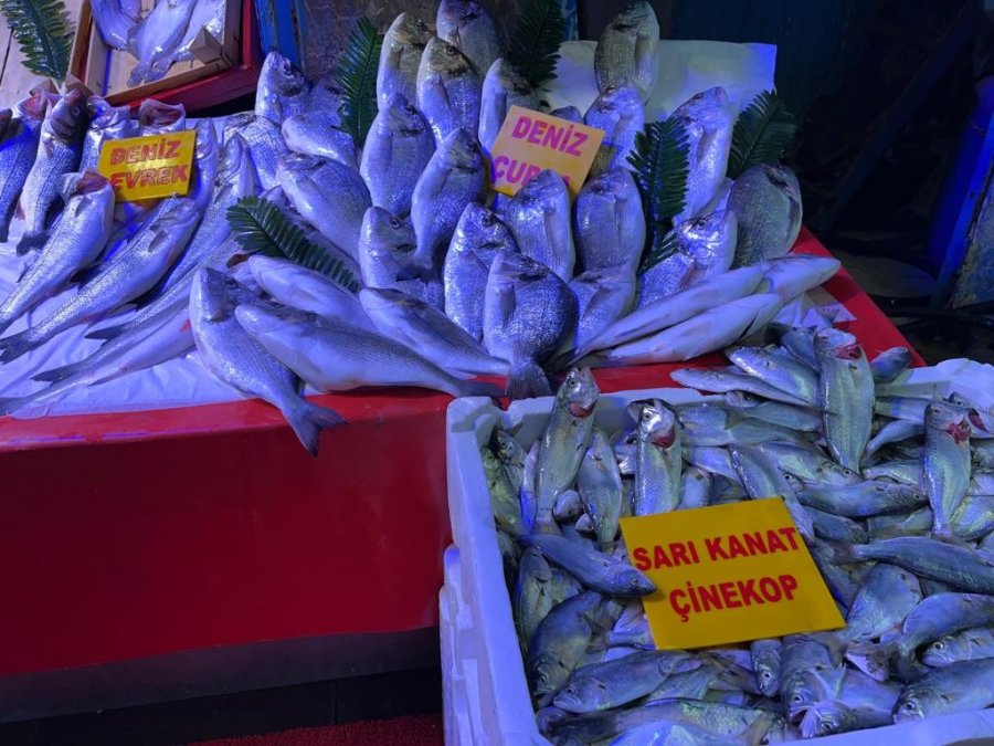 Tezgâhlarda Balık Çeşitliliği Ve Bolluğu Artıyor