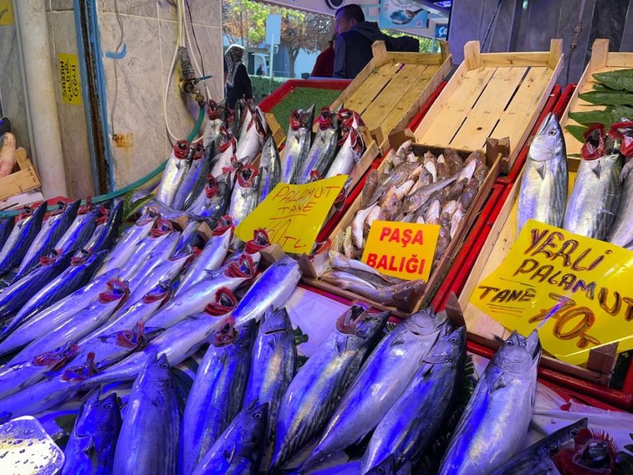 Tezgâhlarda Balık Çeşitliliği Ve Bolluğu Artıyor