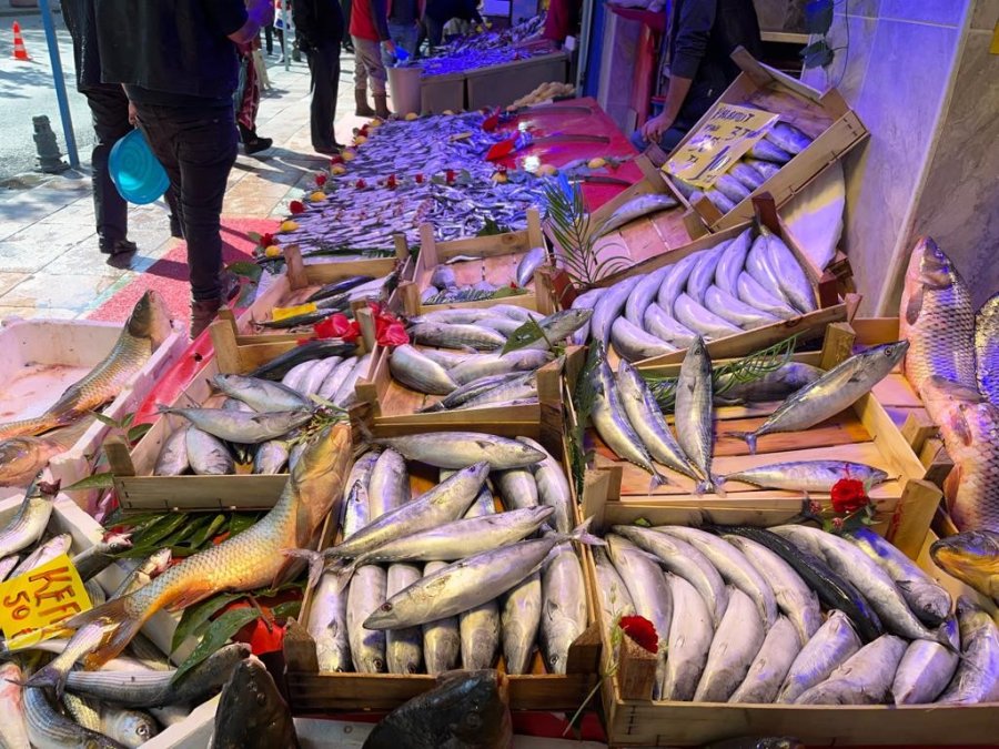 Tezgâhlarda Balık Çeşitliliği Ve Bolluğu Artıyor