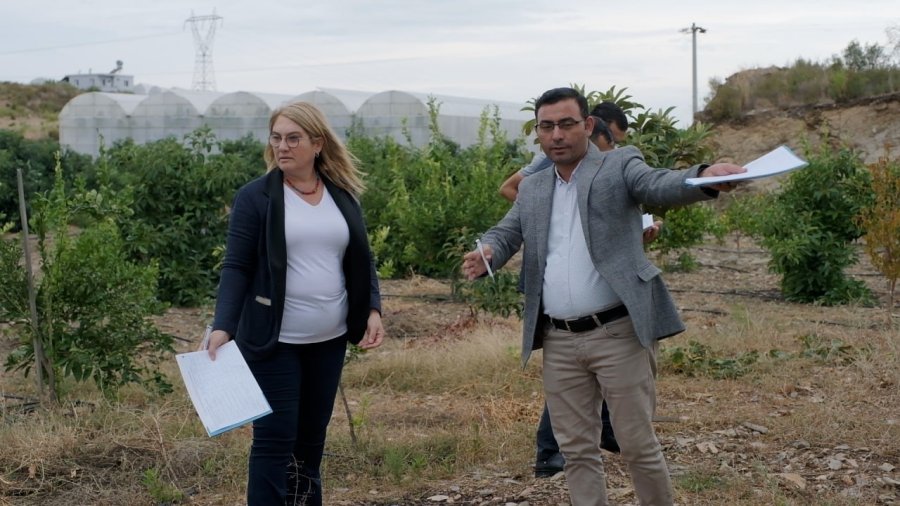 ‘en Güzel Avokado’ İçin Jüri Değerlendirmeleri Yapıldı