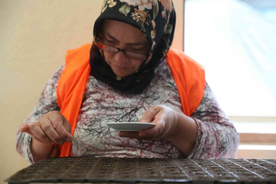 Antalya Sokaklarını 3 Milyon Çiçek Süsleyecek