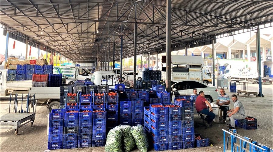 Savaşan Ülkelere Durma Noktasına Gelen Tarım Ürünleri İhracatı Yeniden Başladı