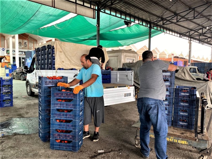 Savaşan Ülkelere Durma Noktasına Gelen Tarım Ürünleri İhracatı Yeniden Başladı