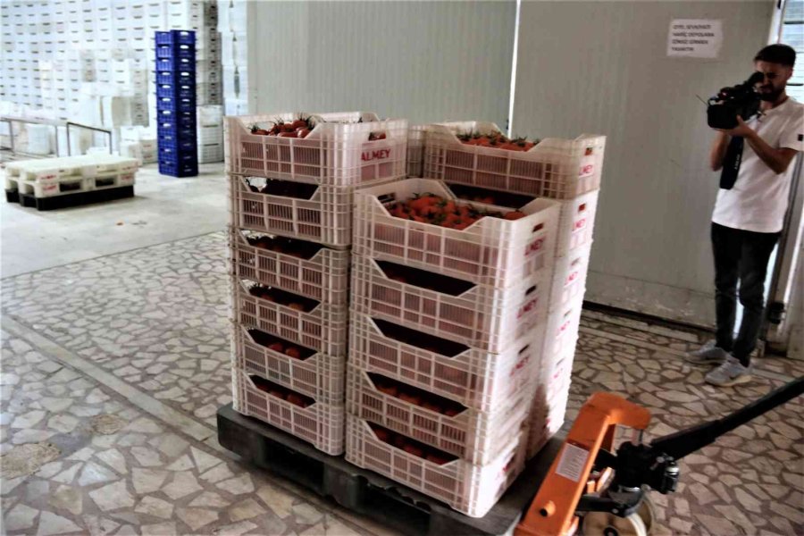 Savaşan Ülkelere Durma Noktasına Gelen Tarım Ürünleri İhracatı Yeniden Başladı