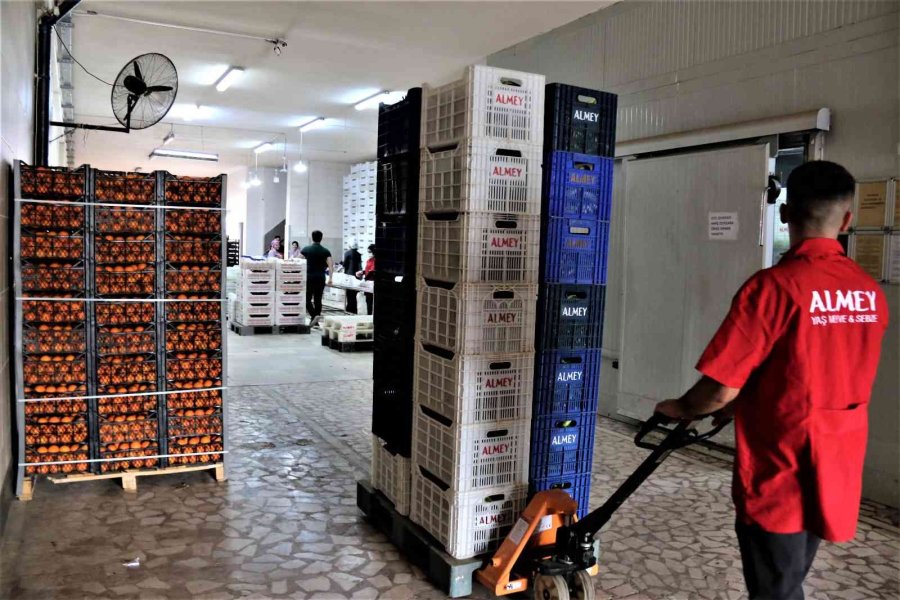 Savaşan Ülkelere Durma Noktasına Gelen Tarım Ürünleri İhracatı Yeniden Başladı