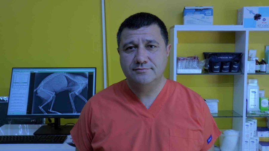 Yaz Sineklerine Erken Tedbirle Çözüm