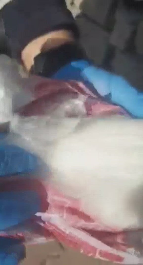 Belinde Poşetle Uyuşturucu Taşıyan Zehir Taciri Jandarmadan Kaçamadı