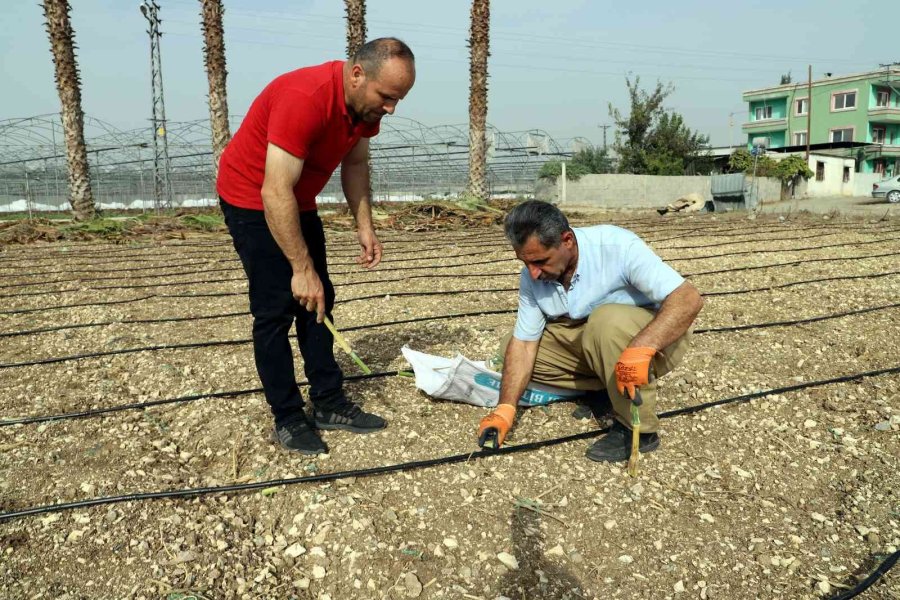 Akdenizli Üreticiler ’maralfalfa’ İle Tanıştı