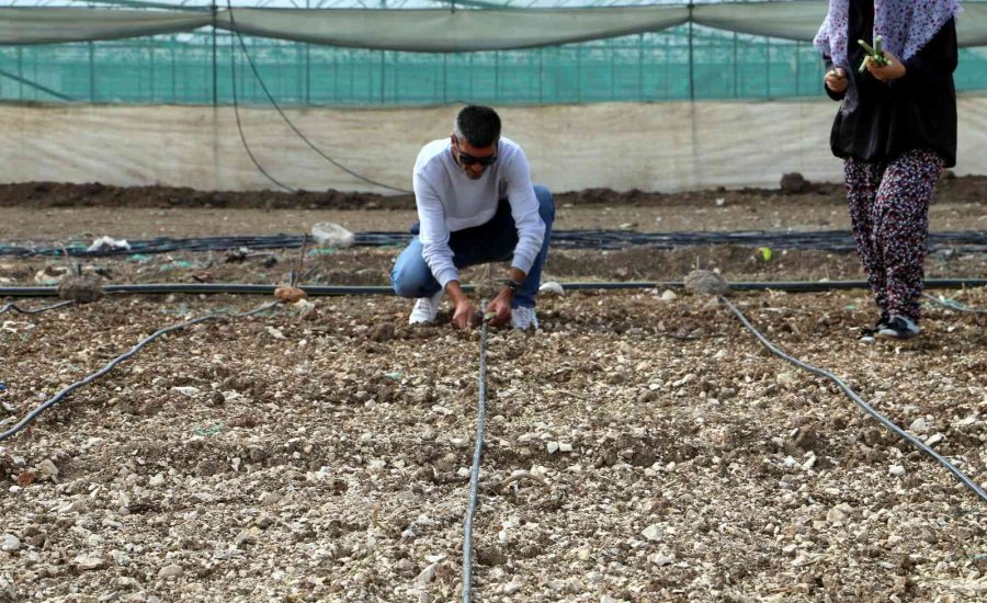 Akdenizli Üreticiler ’maralfalfa’ İle Tanıştı