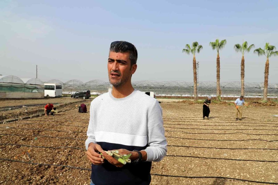 Akdenizli Üreticiler ’maralfalfa’ İle Tanıştı