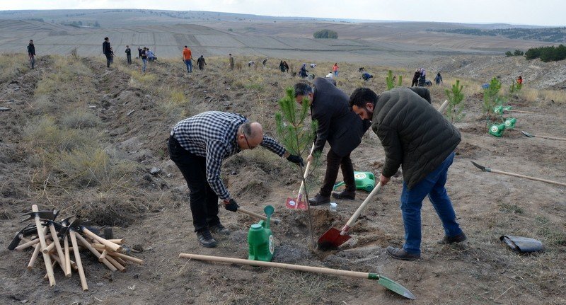Eskişehir’de Doğan Her Bebek İçin 1 Fidan Dikildi