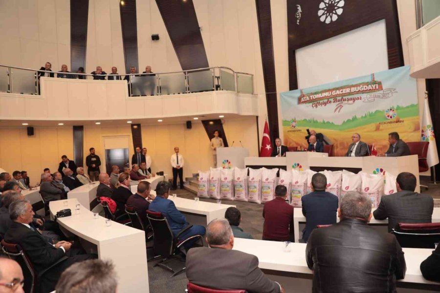 Çiftçilere Ata Yadigarı 28 Kromozomlu ’gacer Buğdayı’ Dağıtıldı