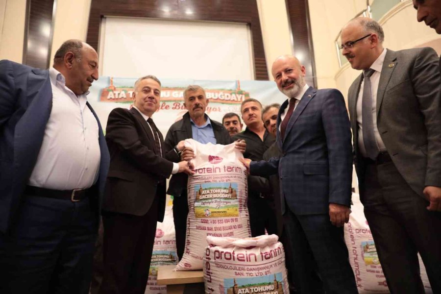 Çiftçilere Ata Yadigarı 28 Kromozomlu ’gacer Buğdayı’ Dağıtıldı