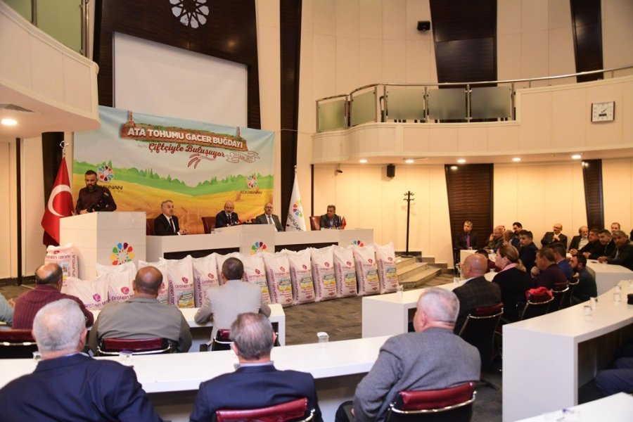 Çiftçilere Ata Yadigarı 28 Kromozomlu ’gacer Buğdayı’ Dağıtıldı