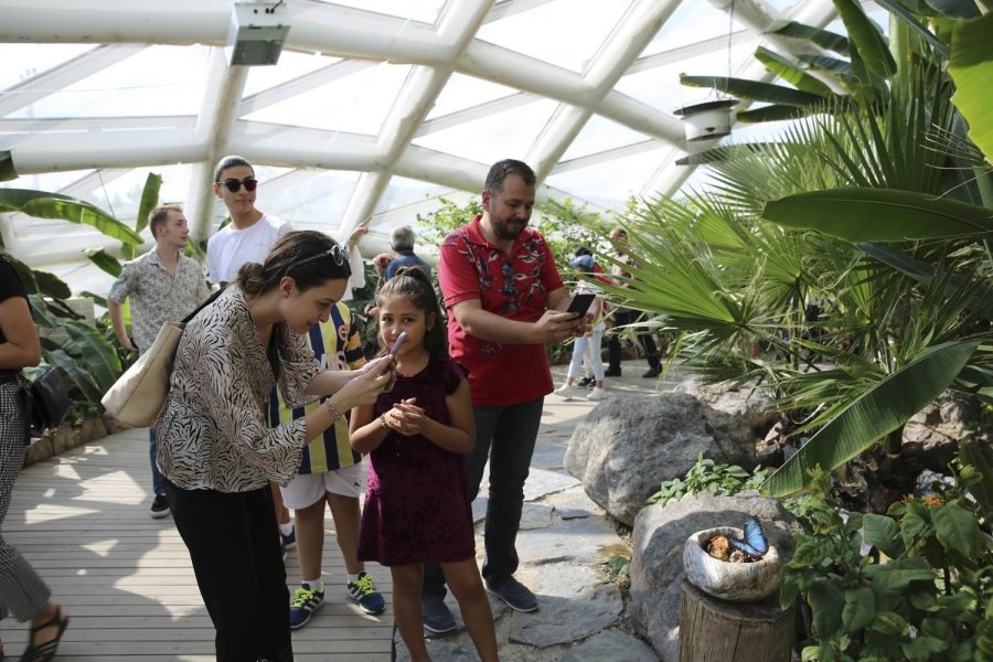 Konya Tropikal Kelebek Bahçesi 450 Bin 739 Ziyaretçiyi Ağırladı