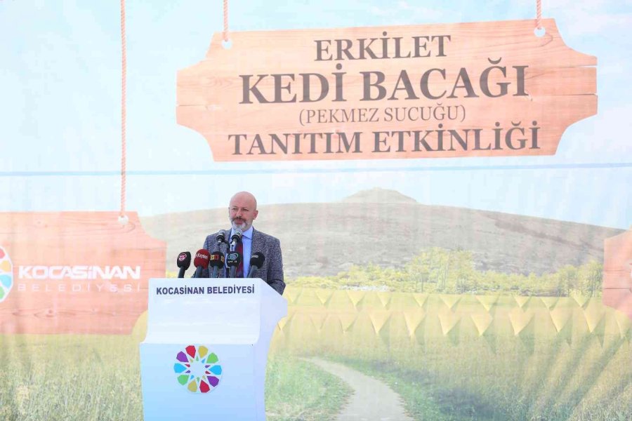 Başkan Çolakbayradar’dan Erkilet Kedi Bacağı Etkinliğine Davet