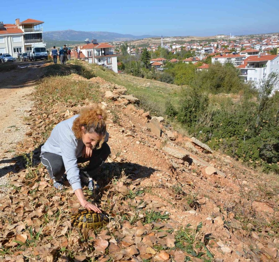 Antalya’da Orman Yangını Büyümeden Söndürüldü