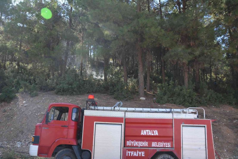 Antalya’da Orman Yangını Büyümeden Söndürüldü