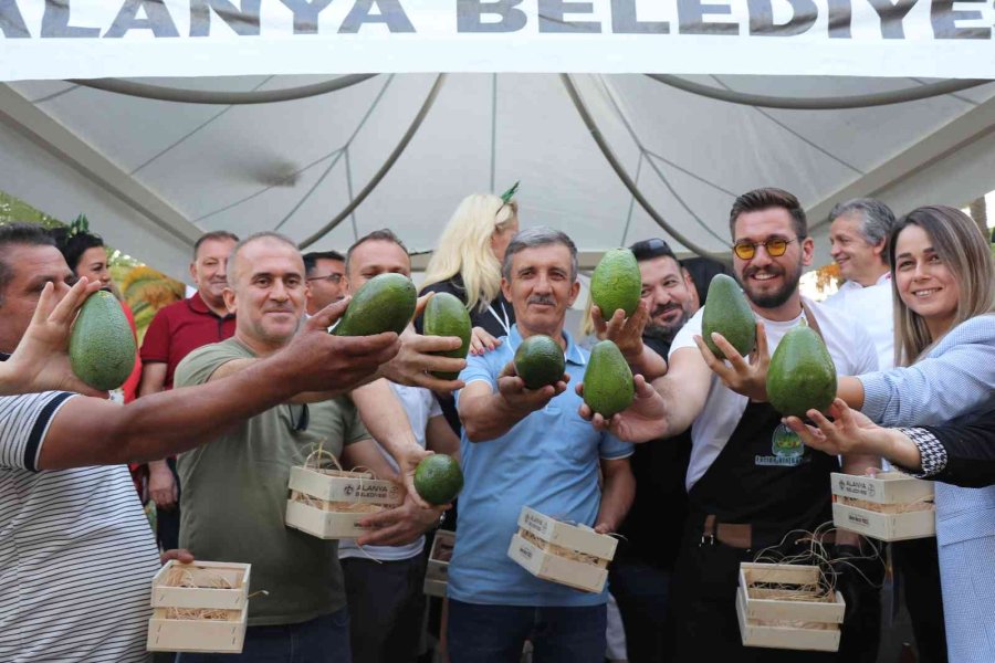Alanya’nın En Ağır Avokadosu 610 Gramla Ödülü Aldı