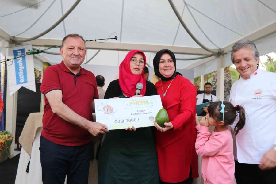 Alanya’nın En Ağır Avokadosu 610 Gramla Ödülü Aldı